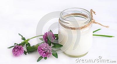 Yogurt Stock Photo