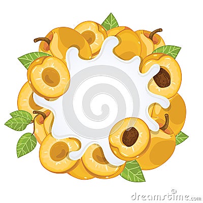 Yogurt splash isolated with apricot, vector Vector Illustration