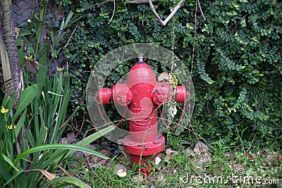 Hydrants placed at the edge of the park Editorial Stock Photo