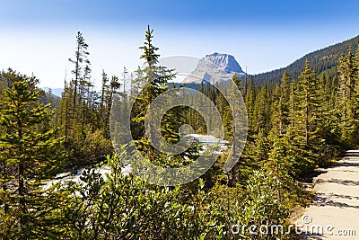 Yoho river view yoho national park british columbia, canada Stock Photo