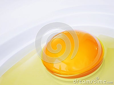 Yolk Stock Photo