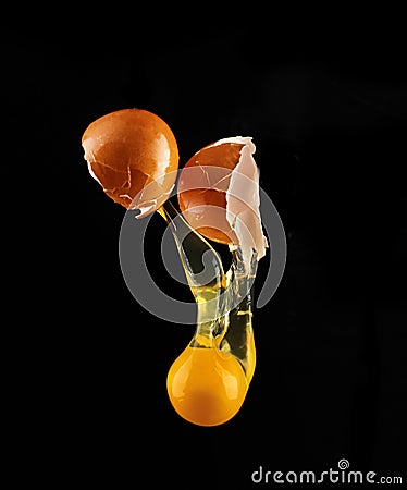 Yolk dropping from cracked raw egg divided by woman hands. Stock Photo