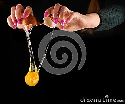 Yolk dropping from cracked raw egg divided by woman hands. Stock Photo