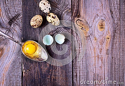 Yolk quail eggs in an iron spoon Stock Photo