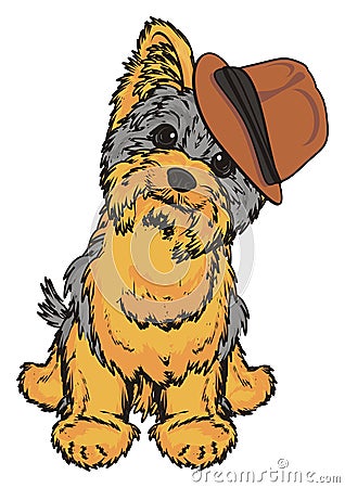 Yorkie in brown hat Stock Photo