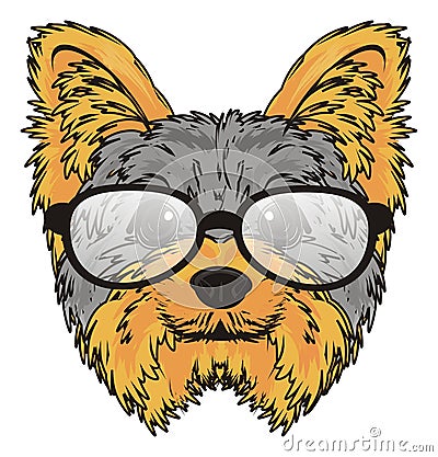 Yorkie in glasses Stock Photo