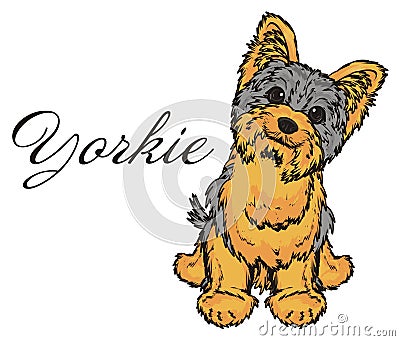 Yorkie with his name Stock Photo