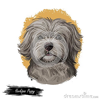 Yorkipoo Puppy crosbred of Yorkie-Poo Yorkshire Terrier and poodle isolated. Digital art illustration of hand drawn cute home pet Cartoon Illustration