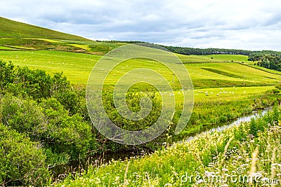 Yorkshire Dales, landscape in Summer, England Stock Photo