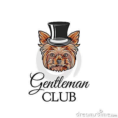 Yorkshire terrier dog gentleman. Top hat. Gentleman club text. Yorkshire terrier breed. Dog portrait. Vector. Vector Illustration