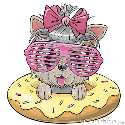 Yorkshire terrier girl swimming on pool ring donut Vector Illustration