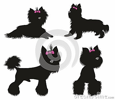 Yorkshire terrier - isolated vector set illustration. Dog collection Vector illustration Vector Illustration