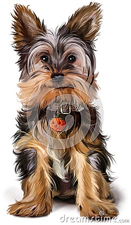 Yorkshire Terrier painting Stock Photo