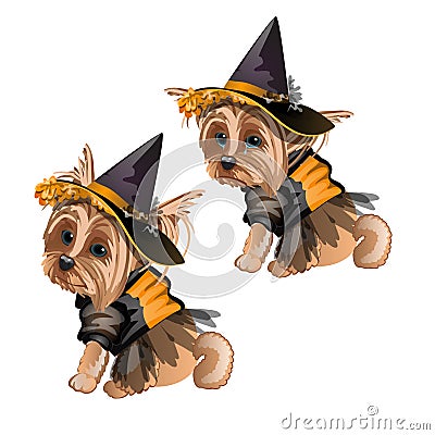 Yorkshire Terrier in witch costume isolated on white background. Cute animated dog in a witch hat. Sketch for greeting Vector Illustration