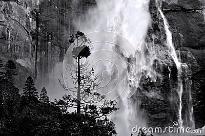 Yosemite Falls Stock Photo