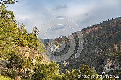 Yosemite Valley View in California Stock Photo