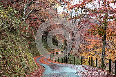 Yoshino mountain autumn forest road in Nara, Japan Stock Photo
