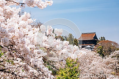 Yoshino mountain Yoshimizu Shrine with spring cherry blossoms in Nara, Japan Stock Photo