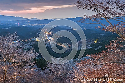 Yoshinoyama sakura cherry blossom Stock Photo