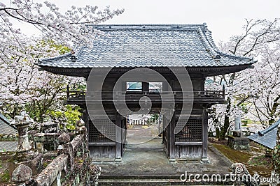 Yoshiura wooden shrine with white sakura blossom, Kashima Stock Photo