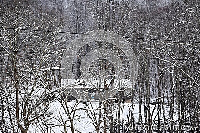 Living in the Woods of West Virginia Editorial Stock Photo