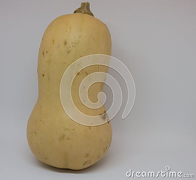 Isolted butternut pumkin Stock Photo