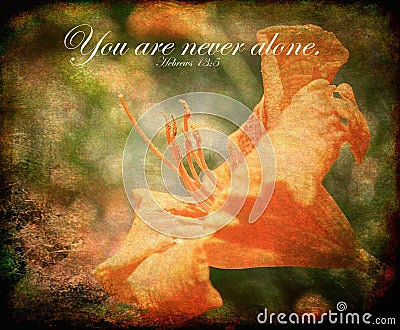 You are never alone - photograph with bible verse, Hebrews 13:5 Stock Photo