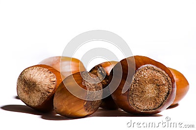 Are you nuts ? Stock Photo