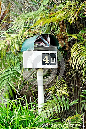 You've got mail. Mailbox mailbox letter box letterbox surrounded by green ferns with mail junk mail. Stock Photo