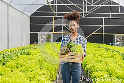 Young African American farmer worker inspects organic hydroponic plants with care and smiles happily: Stock Photo