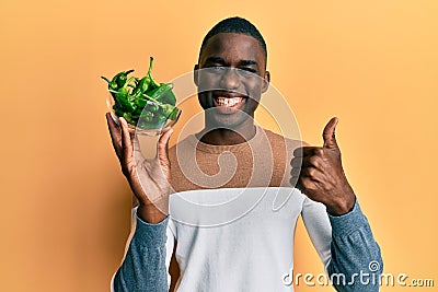 Young african american man holding bowl with small green peppers smiling happy and positive, thumb up doing excellent and approval Stock Photo