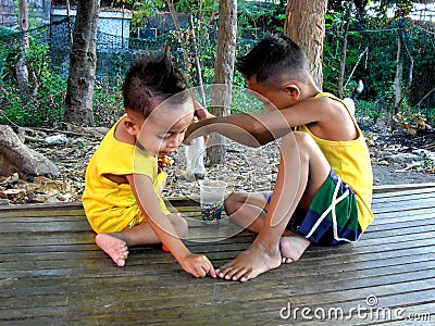 Young asian boys playing under a tree Editorial Stock Photo