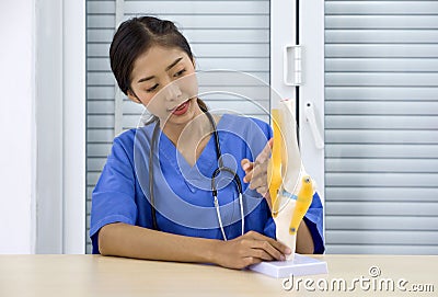 Young asian doctor in blue uniform and stethoscope pointing at anterior cruciate ligament on deluxe functional knee joint model Stock Photo