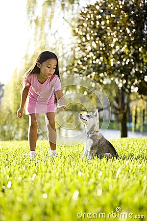 Young Asian girl training puppy to sit Stock Photo