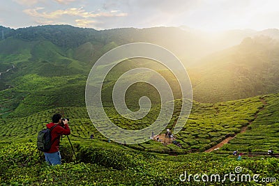 Young asian photographer traveling into tea fields with mist. Yo Editorial Stock Photo