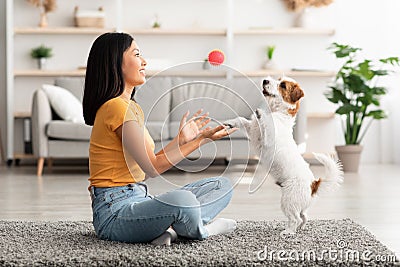 Young asian woman enjoying ball games with cute puppy Stock Photo