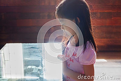 An Asian girl exploring an artifact in a glass case of a museum with back lit lighting from a window Editorial Stock Photo