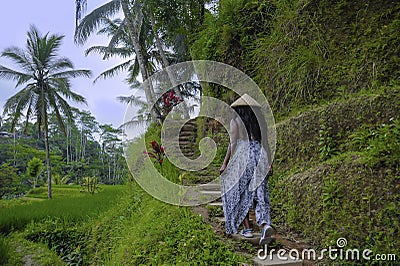 Young attractive happy afro american black woman 30s exploring rice fields forest and jungle in Bali wearing asian hat Stock Photo