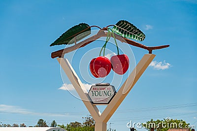 Entrance sign of Young city - the cherry capital of Australia Editorial Stock Photo