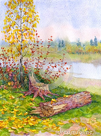 Young autumn birch near a fallen tree Stock Photo