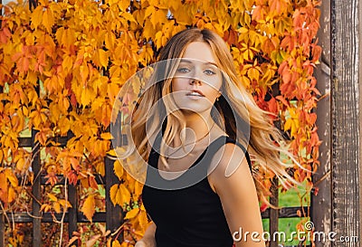 Young autumn woman with yellow leaves background. Outdoor fashion photo of girl beautiful hair surrounded . Stock Photo