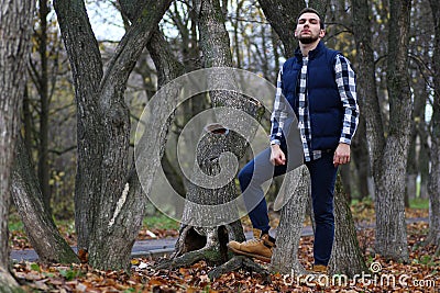 Young beard man in an autumn Stock Photo