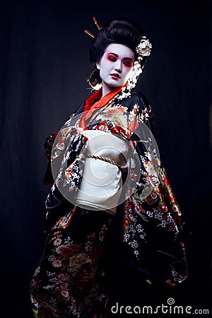 Young beautiful asian woman's portrait, geisha in Stock Photo