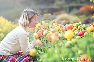 Young beautiful Asian women tourist sitting and surround by colorful tulips field Stock Photo