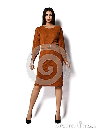 Young beautiful brunette woman with long hair in casual stylish crew neck long-sleeved dress with belt is posing Stock Photo