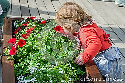 Young beautiful girl child, child playing in the street of the ancient city near the flowerbeds with red flowers, joyful and Stock Photo