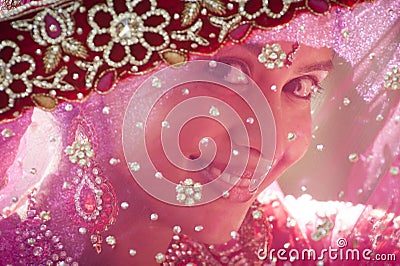 Young beautiful Hindu bride looking through jeweled veil Stock Photo