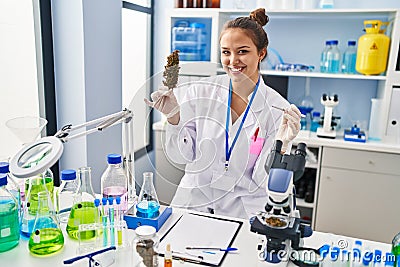Young beautiful hispanic woman scientist holding marijuana using tweezer at laboratory Stock Photo