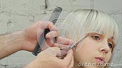 Young beautiful woman having her hair cut at the hairdresser`s. Stock Photo
