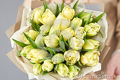 Young beautiful woman holding a spring bouquet of yellow tulips in her hand. Bunch of fresh cut spring flowers in female Stock Photo